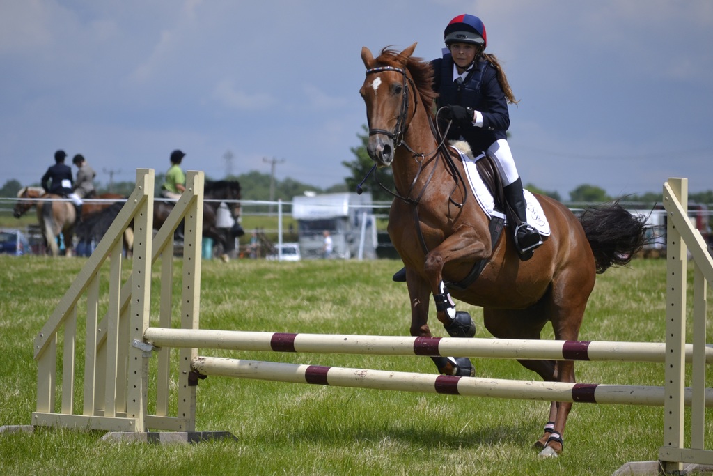 Springreiten