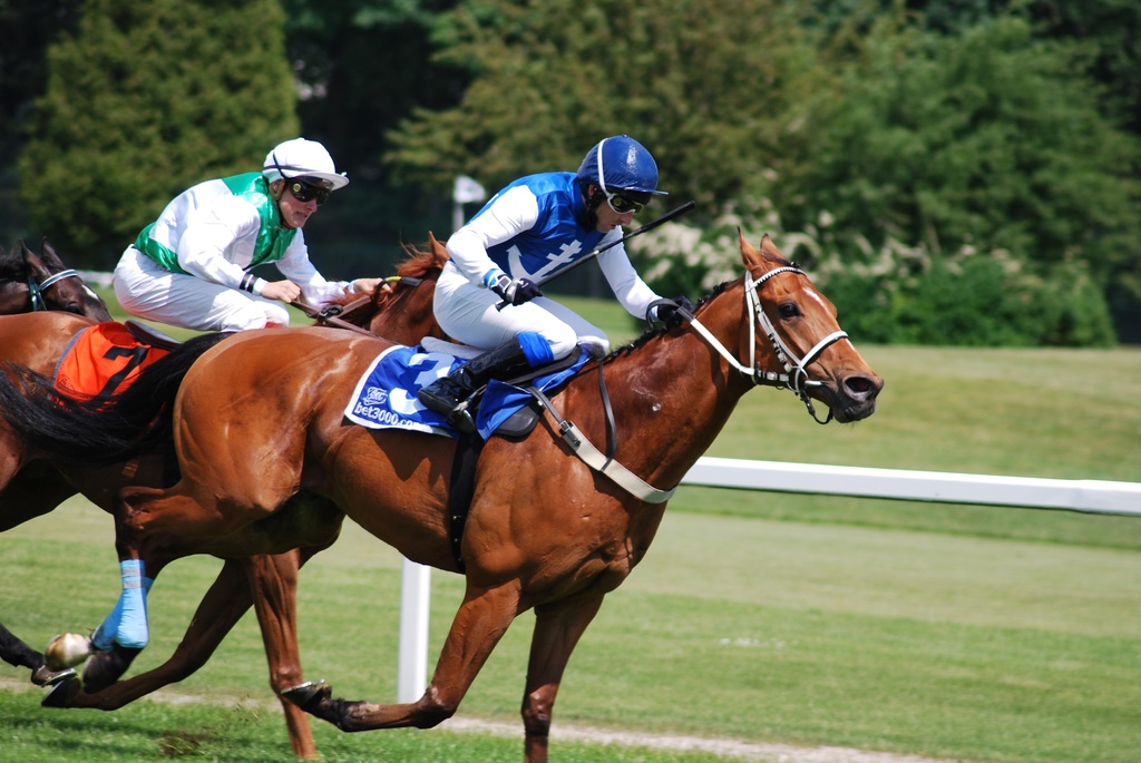 Wie man Jockey wird