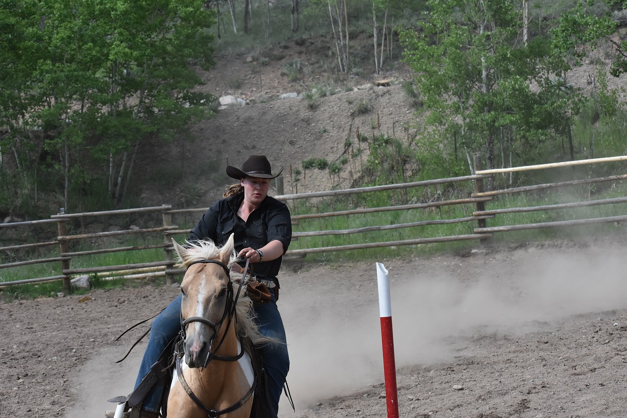 Westernreiten