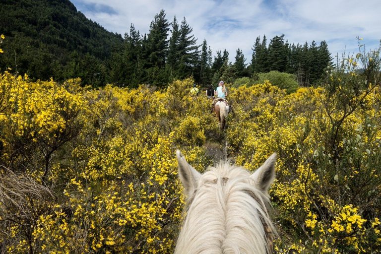 Reiten — ein Hobby für Jung und Alt