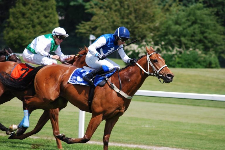 Wie man Jockey wird