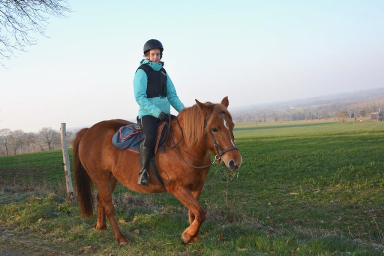 Ponyreiten für Kinder
