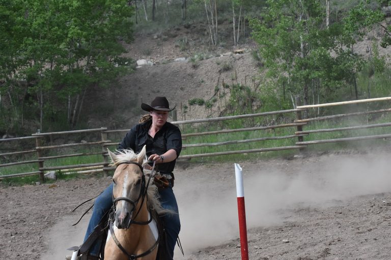 Westernreiten