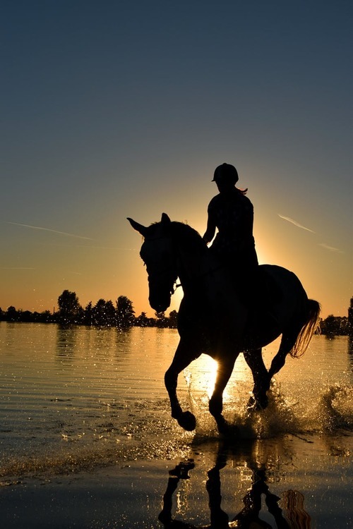 Reiten und Rauchen – eine schlechte Kombination